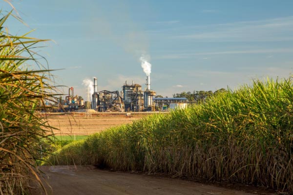 Agricultural processing plant, industrial lubricants for sugar production